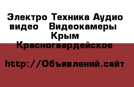 Электро-Техника Аудио-видео - Видеокамеры. Крым,Красногвардейское